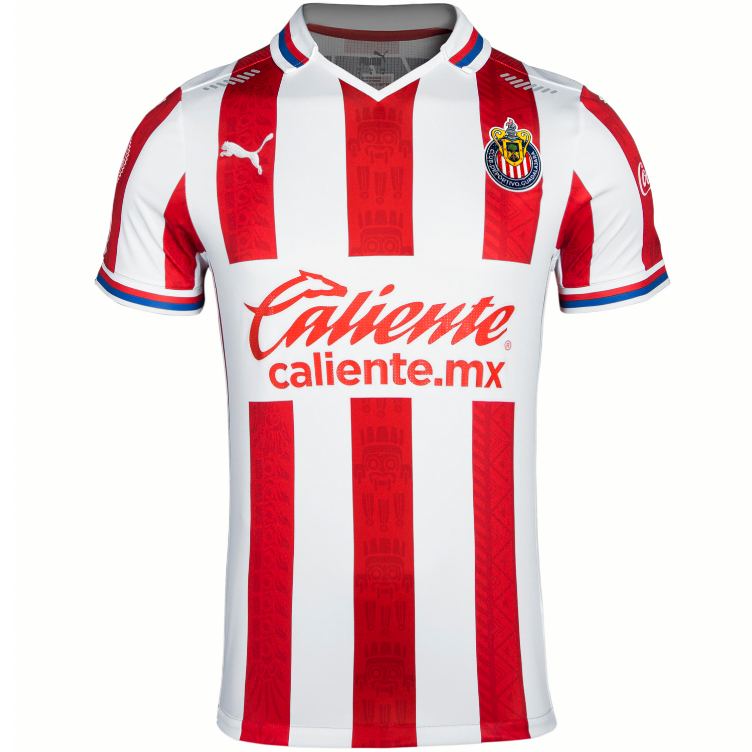 Puma Chivas 2020-21 Men's Home Authentic Match Jersey – TUDN Fan Shop
