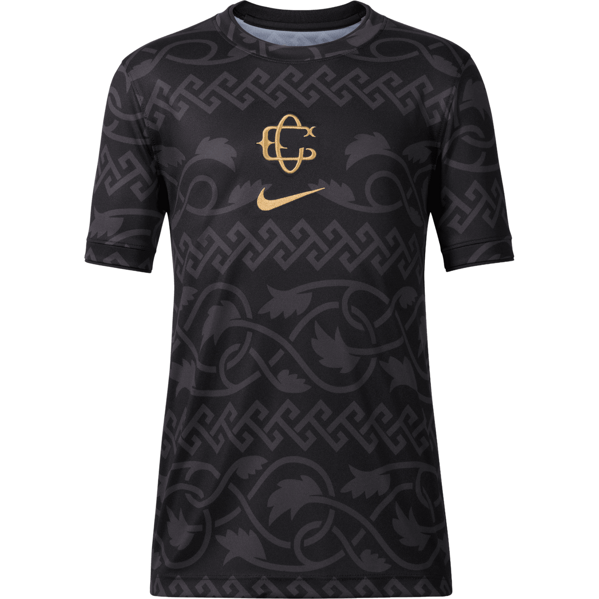 Nike Chivas 26/27 Youth 3rd Pre-Match Top – TUDN Fan Shop